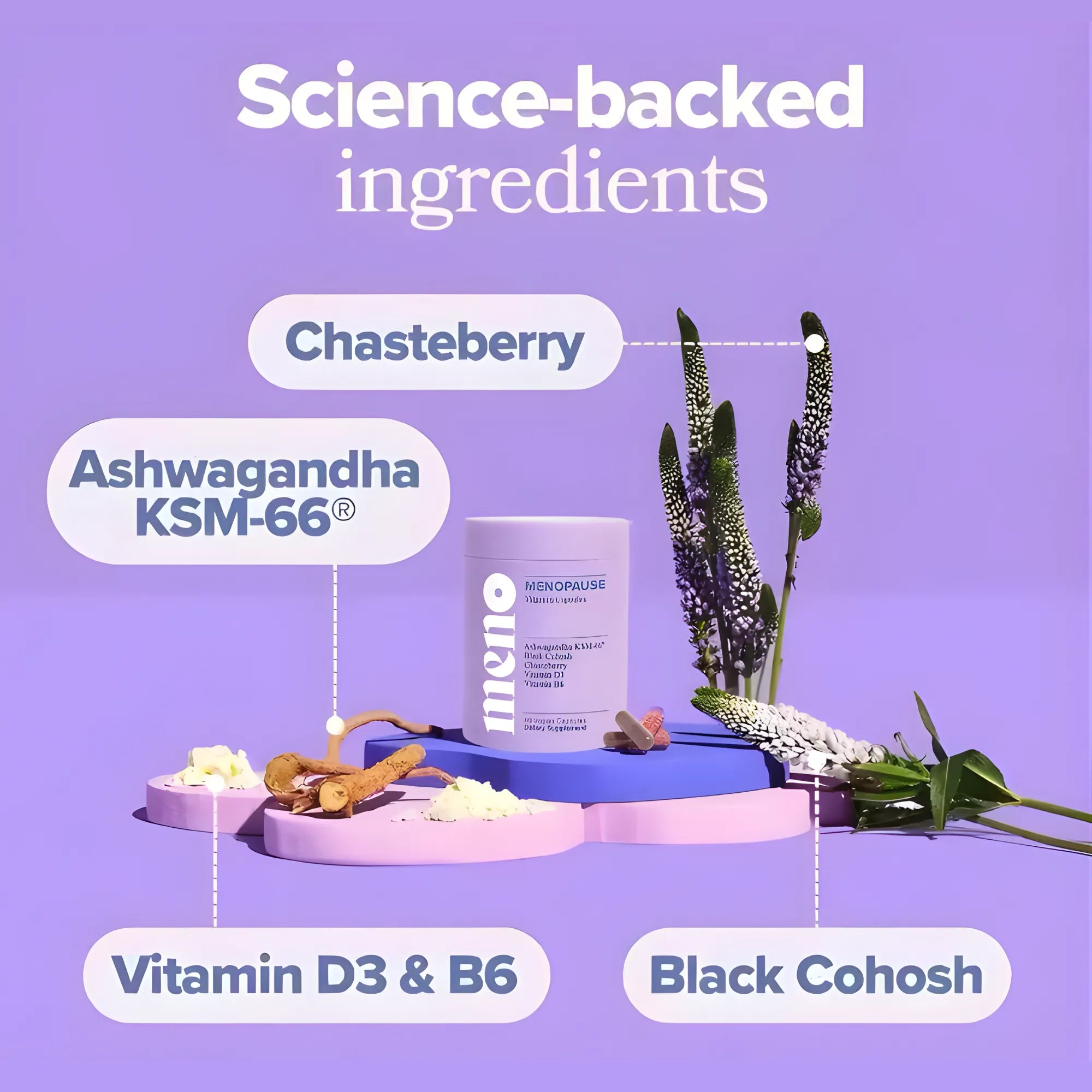 Suplemento MENO para Menopausia 60 Cápsulas | Alivio Natural de Sofocos y Sudores Nocturnos | Con Cohosh Negro y Ashwagandha KSM-66 | Soporte sin Hormonas para el Estado de Ánimo y el Sueño