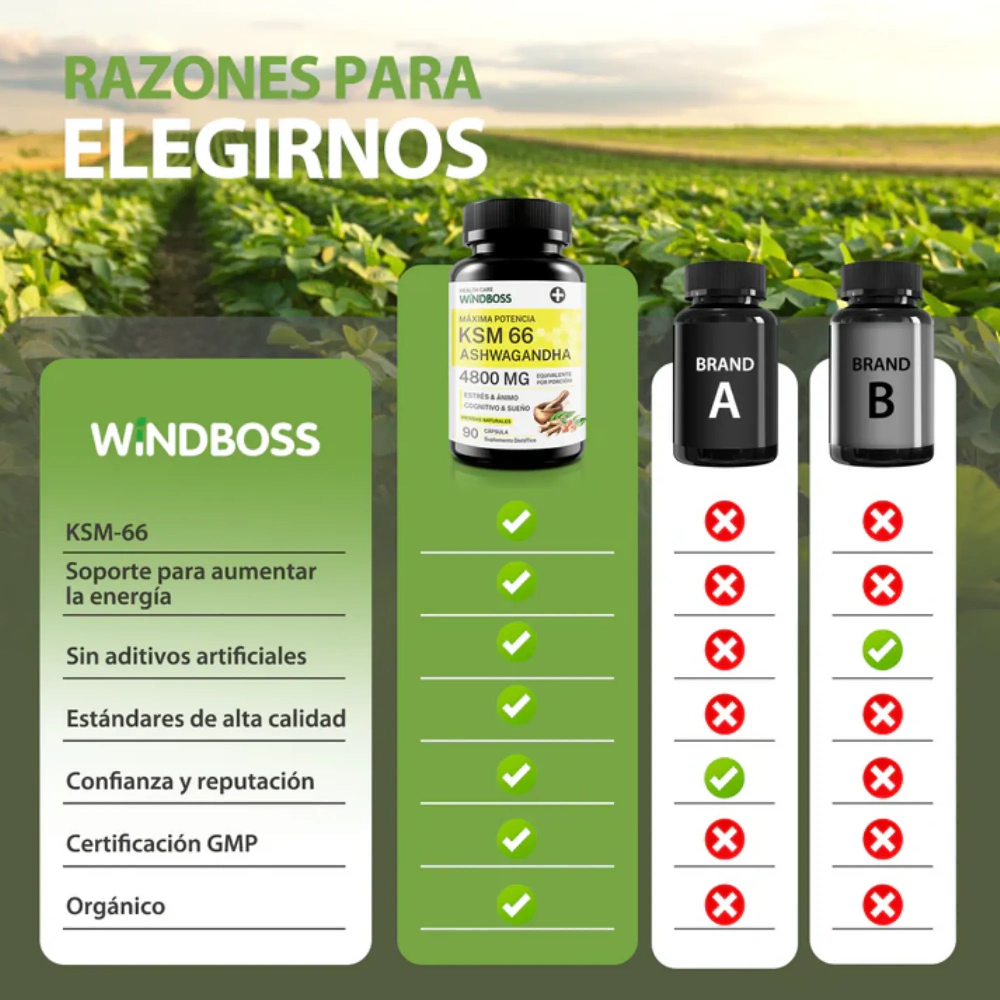 Suplemento KSM-66 Ashwagandha 90 Cápsulas | Extracto Concentrado 6:1 de Alta Potencia | Alivio del Estrés, Energía y Enfoque Mental | Con Pimienta Negra para Máxima Absorción | Soporte Natural para el Sueño y la Vitalidad