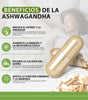 Suplemento KSM-66 Ashwagandha 90 Cápsulas | Extracto Concentrado 6:1 de Alta Potencia | Alivio del Estrés, Energía y Enfoque Mental | Con Pimienta Negra para Máxima Absorción | Soporte Natural para el Sueño y la Vitalidad