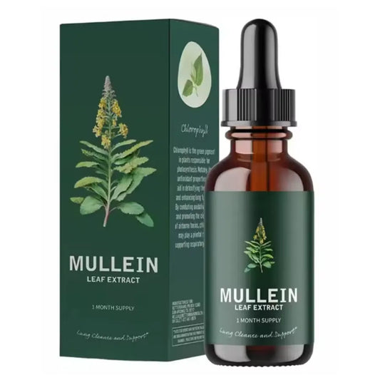 Mullein Gotas Limpieza Pulmonar Betterlung | Extracto de Gordolobo con Clorofila para Soporte Respiratorio | Tintura Natural para Alivio de Vías Respiratorias y Bienestar Pulmonar