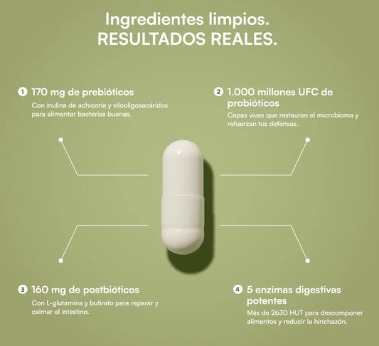 Suplemento de Recuperación Intestinal 4-en-1 Nexiora | 60 Cápsulas con Probióticos, Prebióticos, Postbióticos y Enzimas | Reparador de Mucosa con Glutamina | Alivio de Hinchazón y Gases | Salud de la Microbiota
