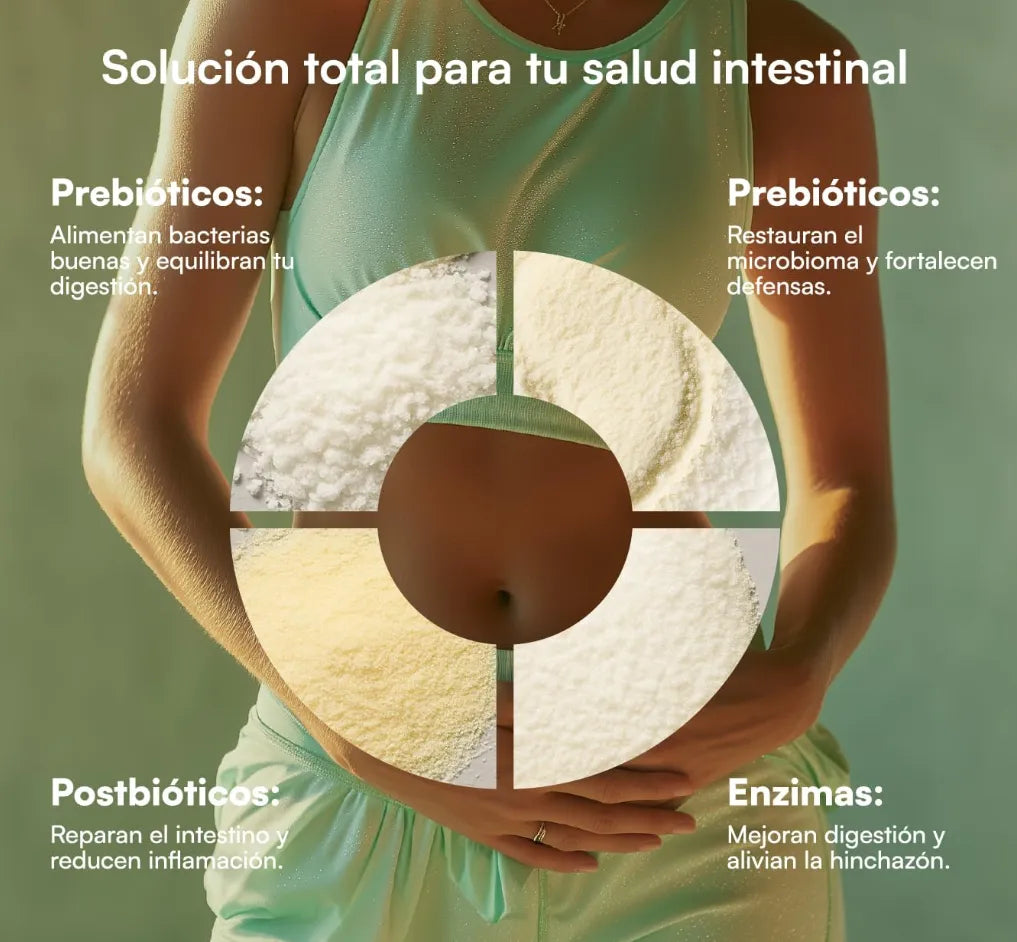Suplemento de Recuperación Intestinal 4-en-1 Nexiora | 60 Cápsulas con Probióticos, Prebióticos, Postbióticos y Enzimas | Reparador de Mucosa con Glutamina | Alivio de Hinchazón y Gases | Salud de la Microbiota