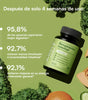 Suplemento de Recuperación Intestinal 4-en-1 Nexiora | 60 Cápsulas con Probióticos, Prebióticos, Postbióticos y Enzimas | Reparador de Mucosa con Glutamina | Alivio de Hinchazón y Gases | Salud de la Microbiota