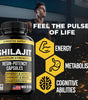 Suplemento Shilajit Himalaya 60 Cápsulas | Resina de Shilajit Puro de Alta Potencia | Refuerzo Cerebral y Claridad Mental | Aumenta tu Energía y Vitalidad | Suplemento Orgánico para el Sistema Inmunológico