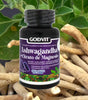 Ashwagandha con Magnesio Certificado COFEPRIS | 60 Cápsulas para Reducción de Estrés y Sueño Reparador | Suplemento Adaptógeno Natural | Apoyo para Memoria, Energía y Recuperación Muscular