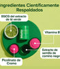 Suplemento MOTO Metabolismo 60 Cápsulas | Activador Natural de Energía y Quema de Grasa para Mujeres | Con Té Verde y Vitamina B12 | Control de Antojos y Apoyo Metabólico | Fórmula 100% Vegana