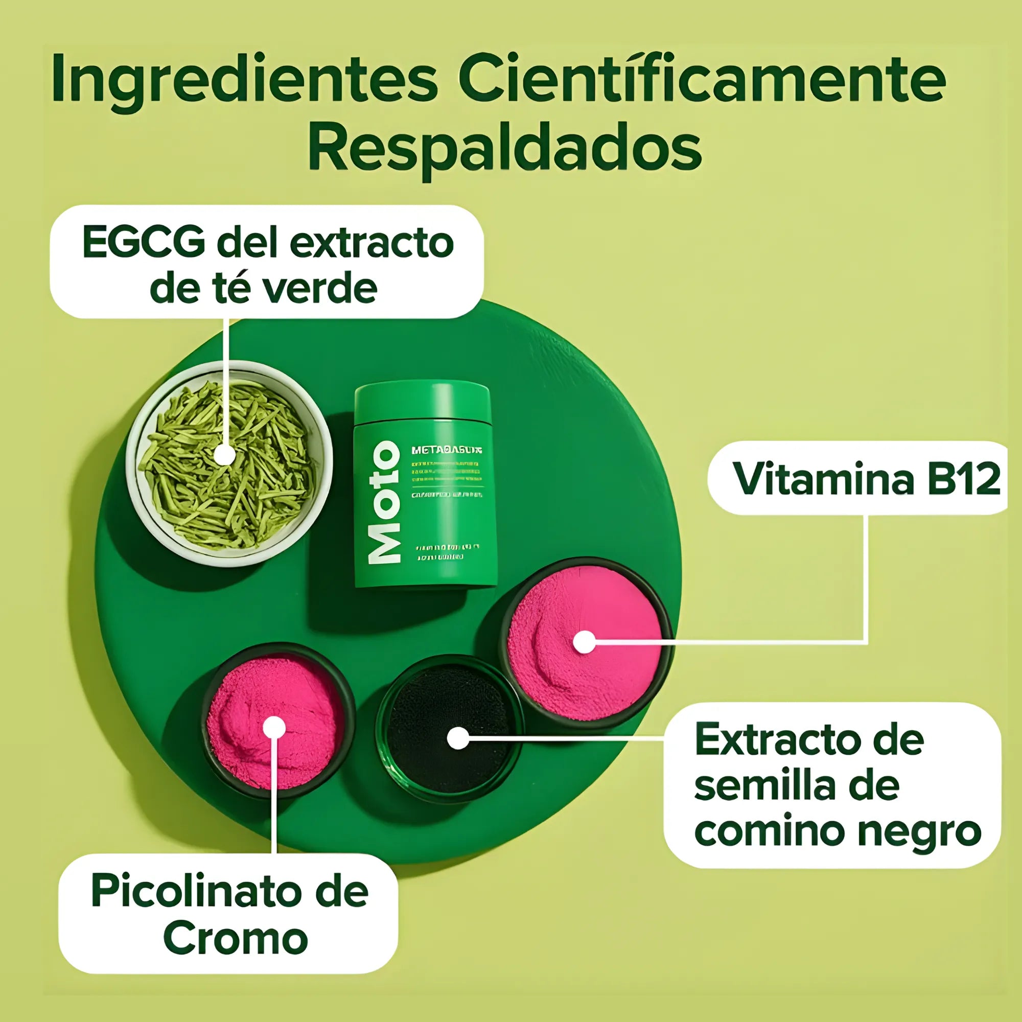 Suplemento MOTO Metabolismo 60 Cápsulas | Activador Natural de Energía y Quema de Grasa para Mujeres | Con Té Verde y Vitamina B12 | Control de Antojos y Apoyo Metabólico | Fórmula 100% Vegana